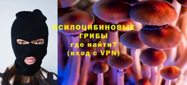 ПСИЛОЦИБИНОВЫЕ ГРИБЫ Алексин