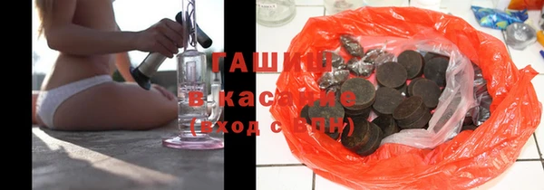 индика Кулебаки