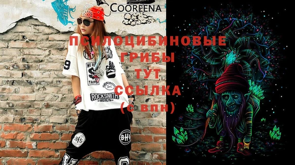 спиды Алексеевка