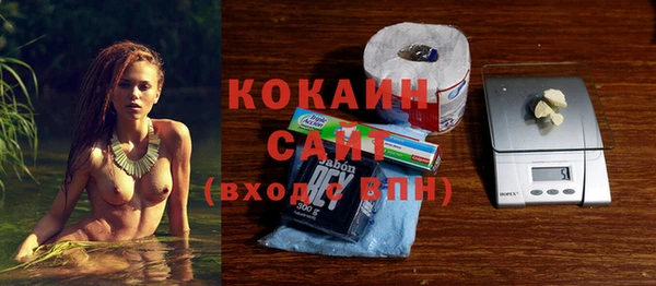 ПСИЛОЦИБИНОВЫЕ ГРИБЫ Алексин