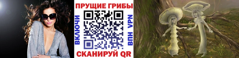 Псилоцибиновые грибы Psilocybe Буй