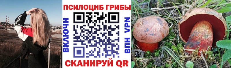 наркошоп  Буй  Псилоцибиновые грибы прущие грибы 